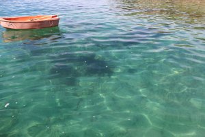 Crystal clear water at Esmeralda Cove, Broughton Island